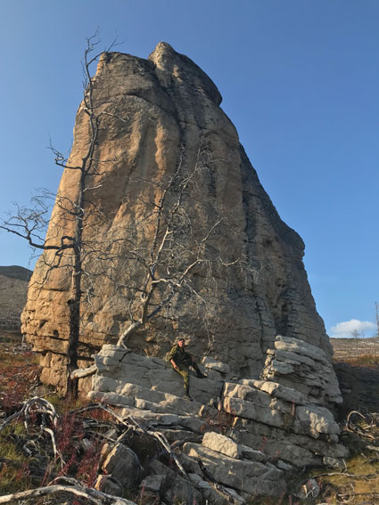 Останцы лейкогранитовые